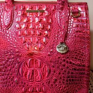 SIMPLY STUNNING! Brahmin Caroline Satchel in Red Dragon